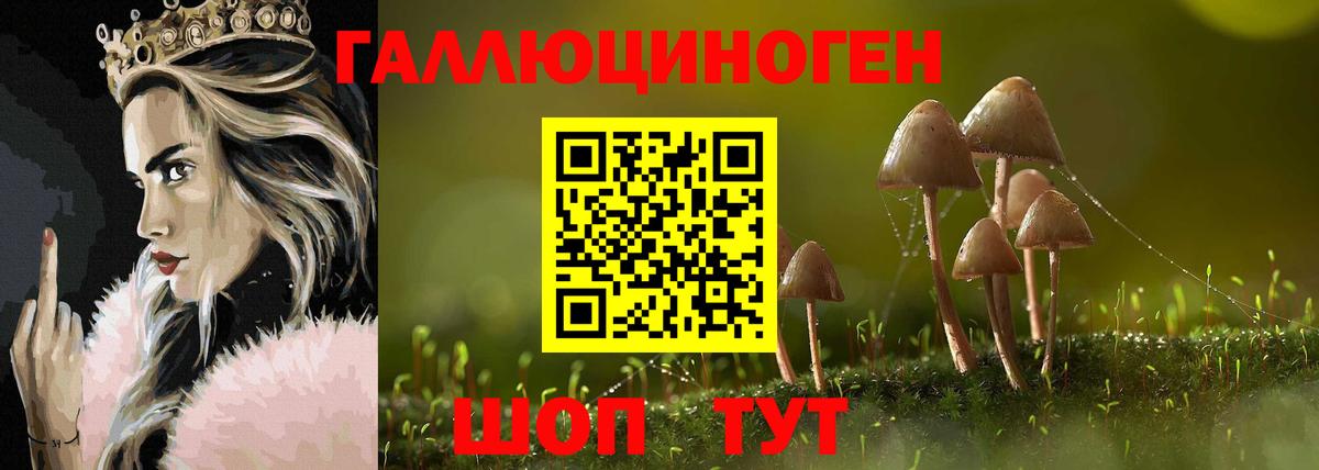 Галлюциногенные грибы Psilocybine cubensis  Галлюциногенные грибы Magic Shrooms  Вход с VPN  Калуга 